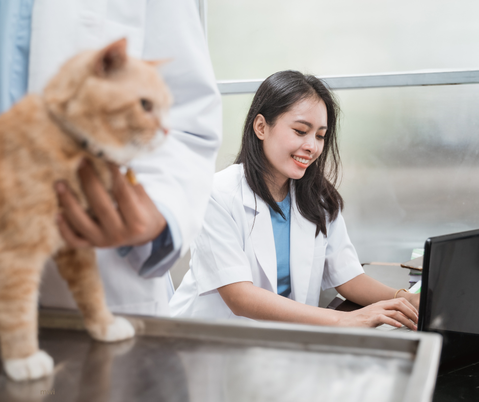 OSCEs – what goes wrong?