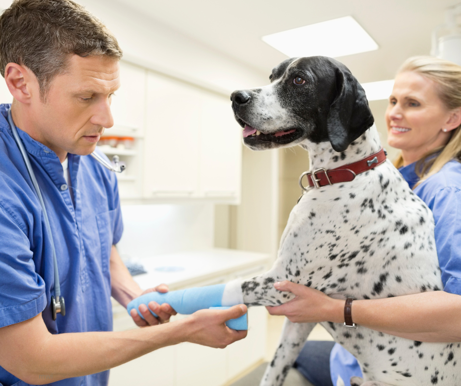 Practical support for Clinical Coaches and your students