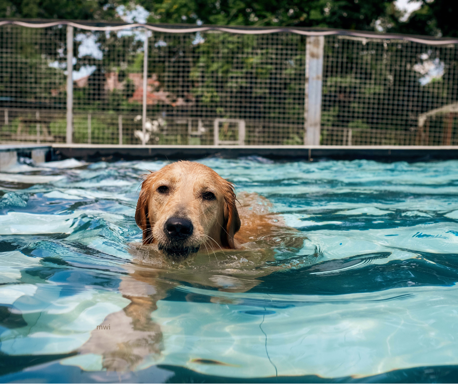 Hydrotherapy: What’s really involved?