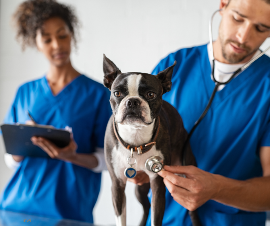 Establishing a successful mentoring relationship