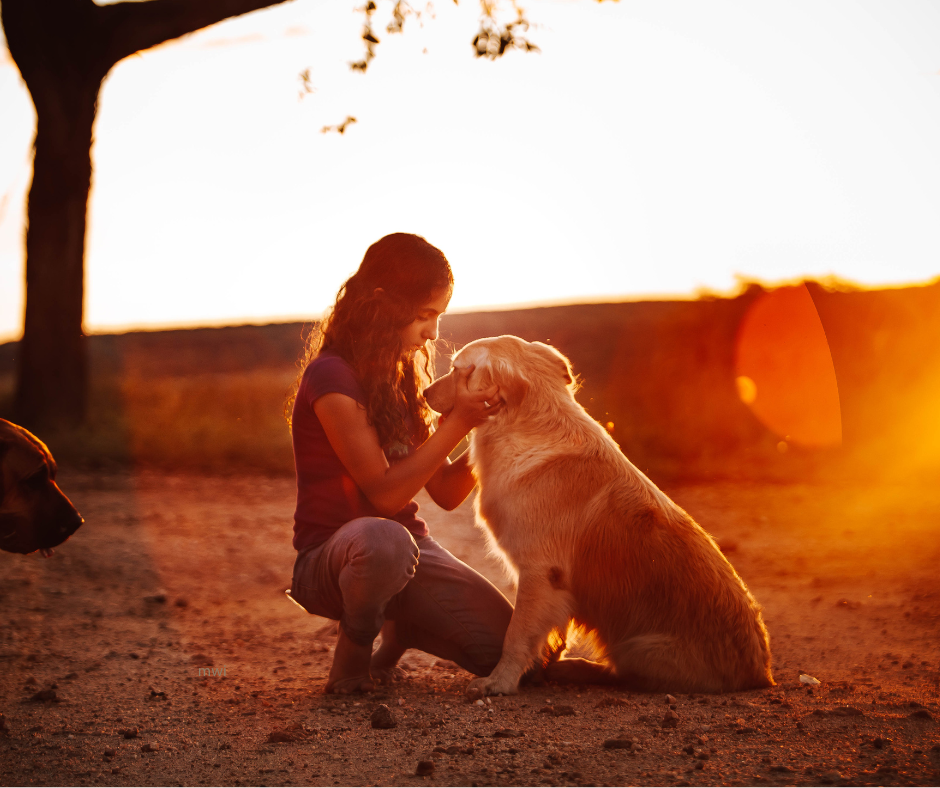 Physiotherapy for the Post-operative Spinal Patient