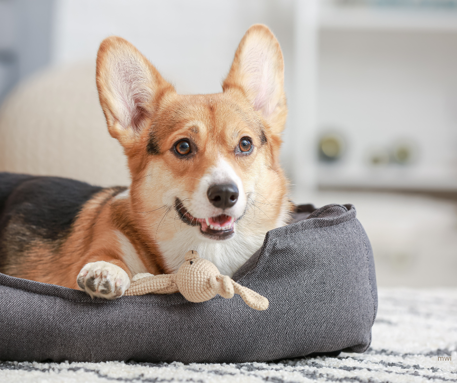 Physiotherapeutic techniques: Effective support and care in the inpatient setting