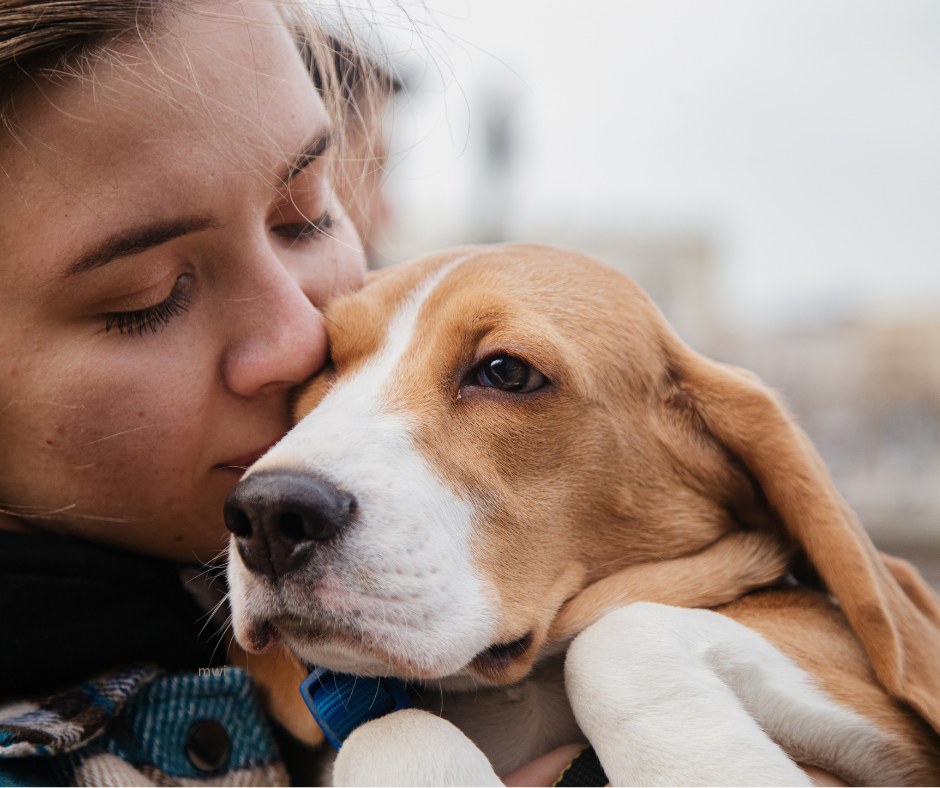 Physiotherapeutic techniques: Effective support and care in the inpatient setting