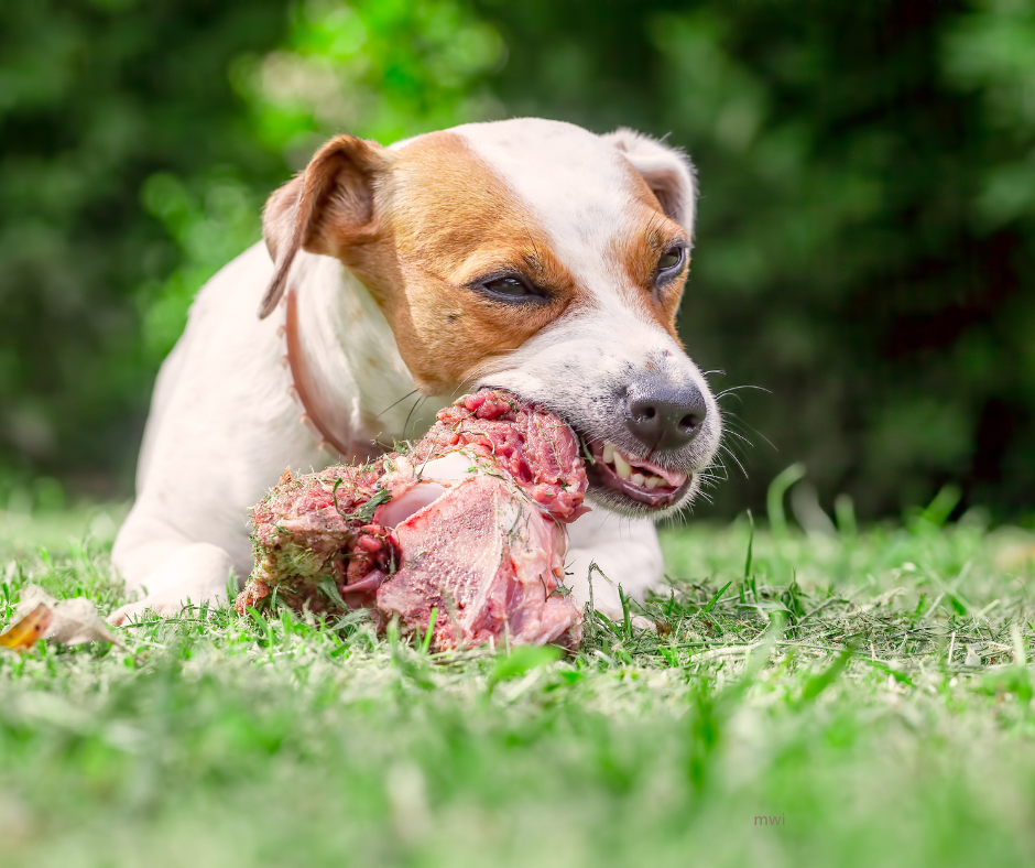 The Raw Truth – Dealing with Raw Clients