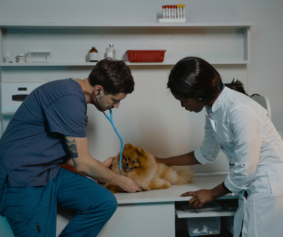 Recruitment and Retention: helping your team to flourish