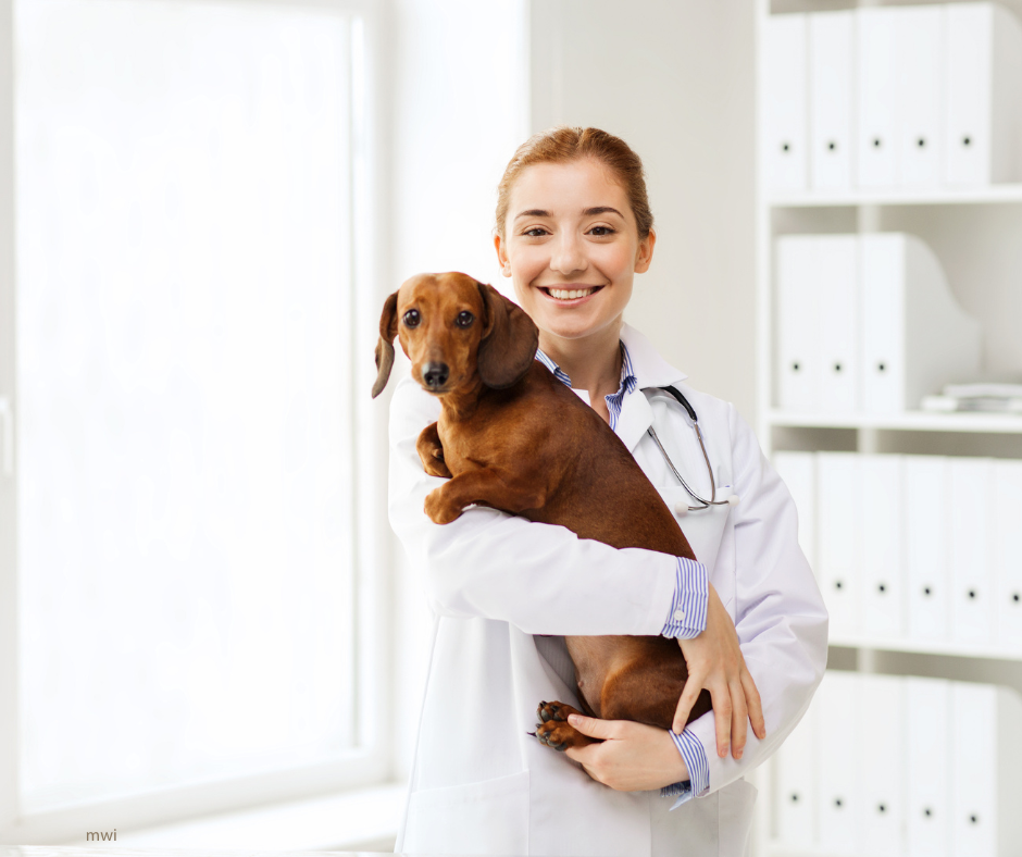 Preparing students for OSCEs – the mental game